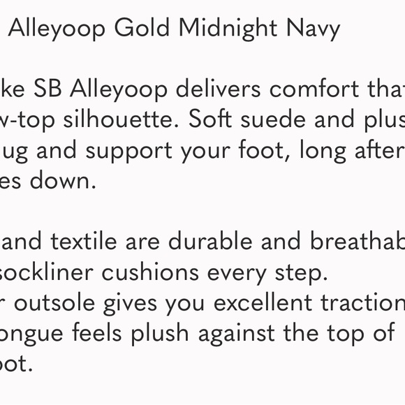 Nike SB Alley Oop Club Gold Midnight Navy CJ0882 700 Men's Size 7 - Picture 5 of 8